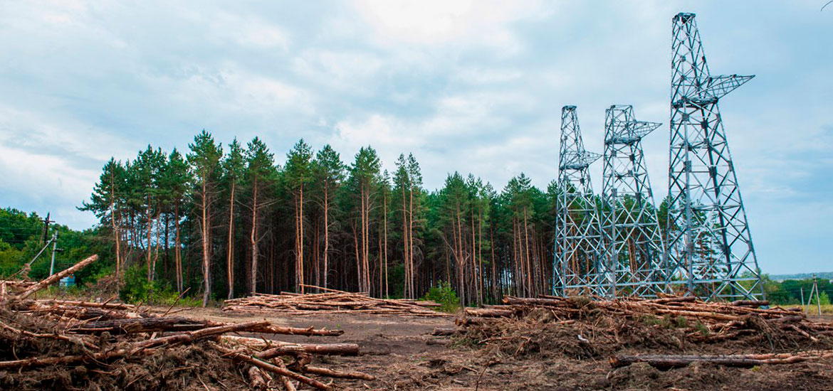 Вырубка леса под линиями электропередачи (ЛЭП)